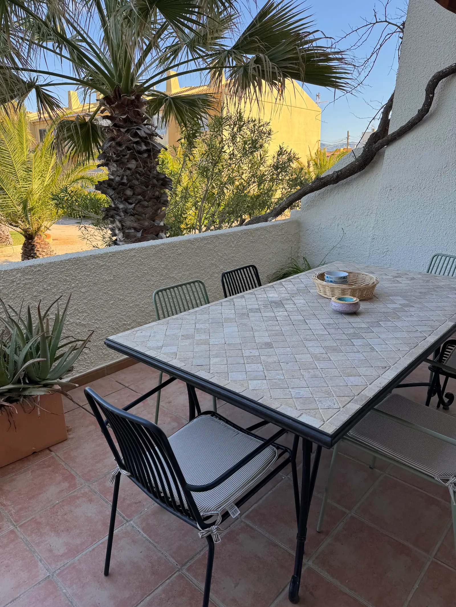Jardín con palmeras y acceso a la playa