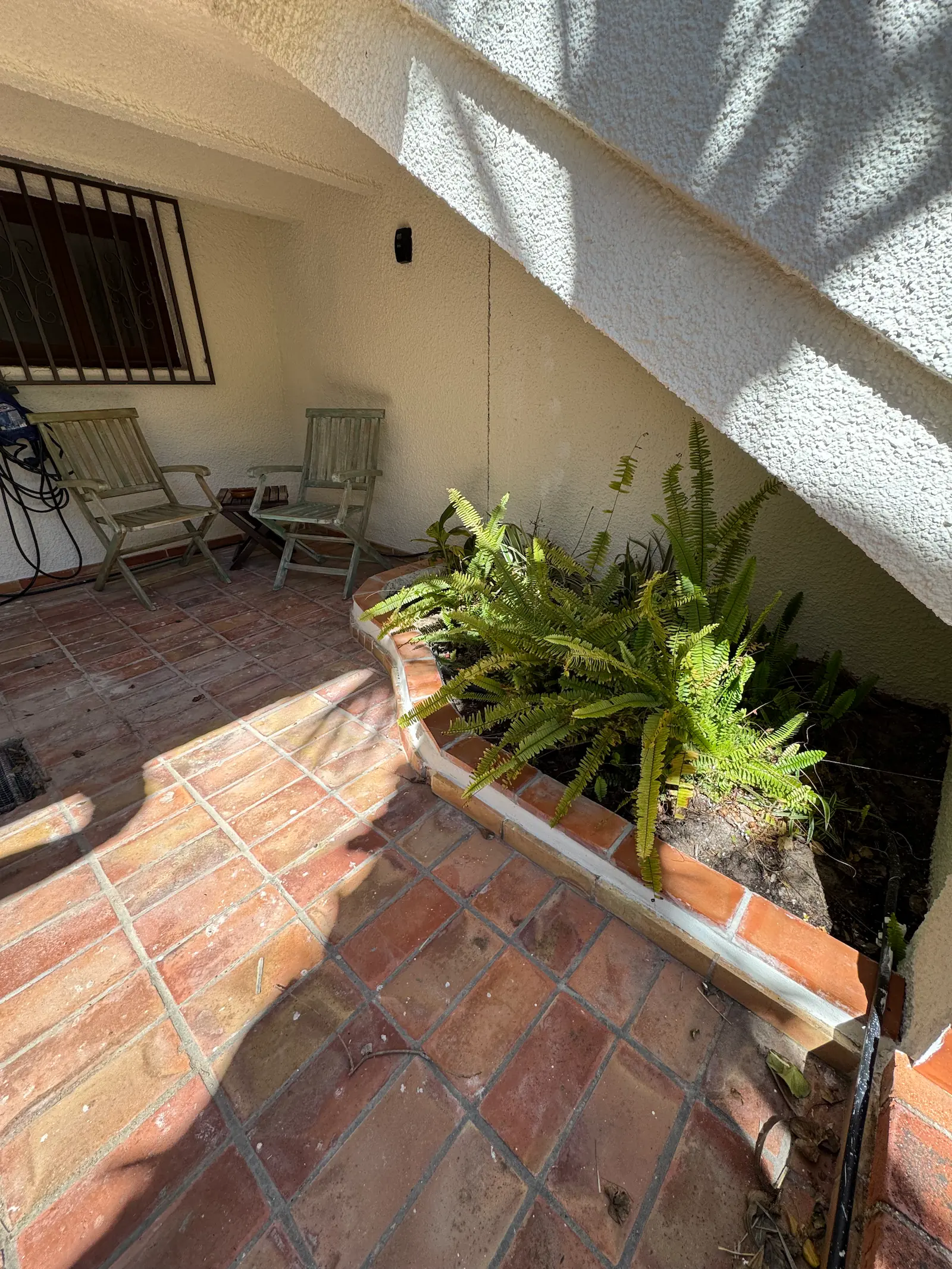 Jardín con palmera y unidad exterior de aire acondicionado