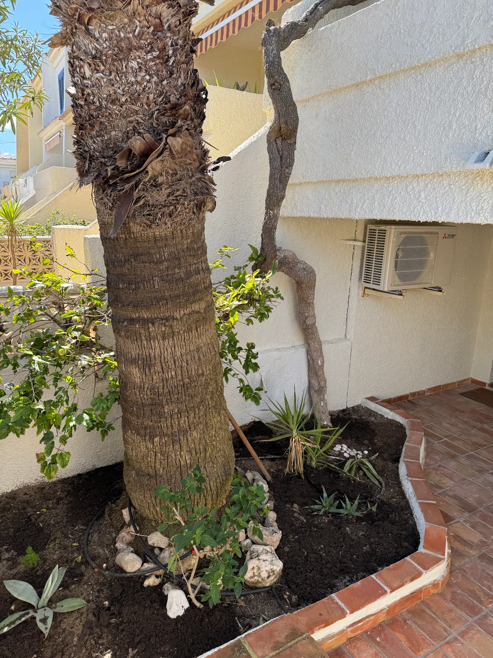 Porche cubierto con sillas de jardín y plantas