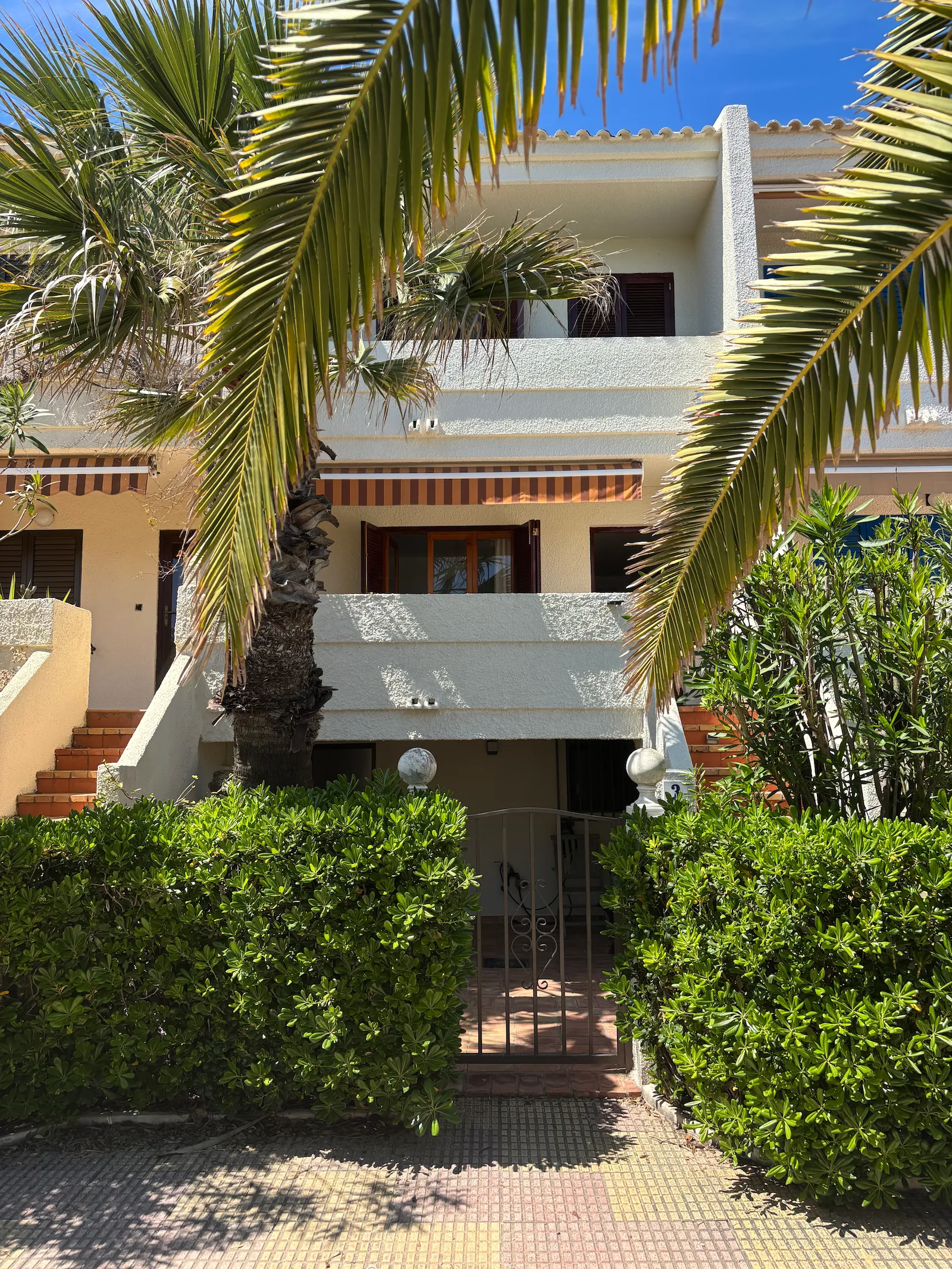 Fachada principal con jardín y palmera